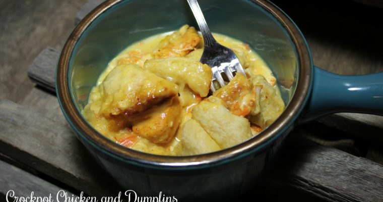 Crock Pot Chicken and Dumplins