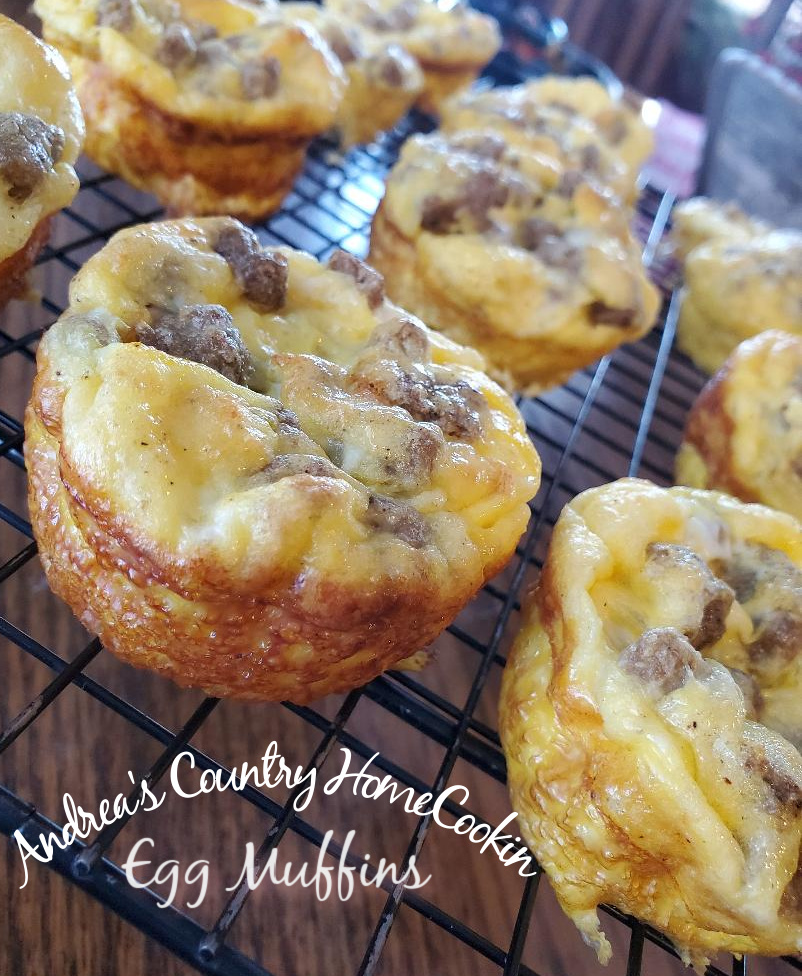 Egg Muffins